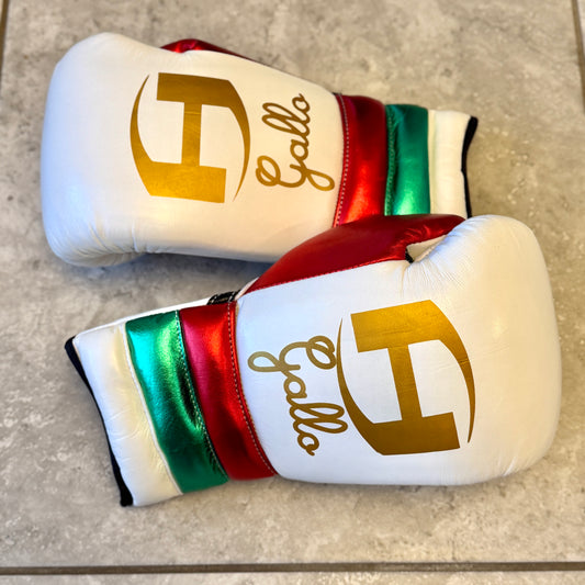 MEXICO MULTI COLOR | PRO ELITE GLOVES 100% LEATHER