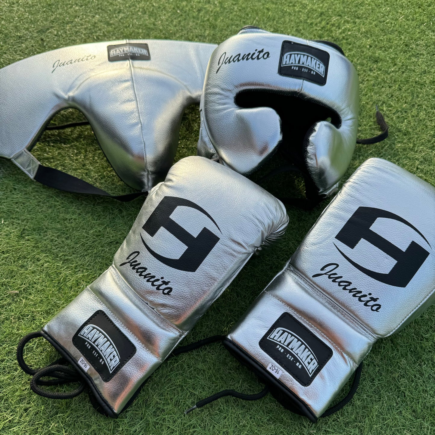 METALLIC SILVER | BOXING GLOVES & SPARRING SET | 100% LEATHER