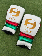 METALLIC MEXICO | BOXING GLOVES & SPARRING SET | 100% LEATHER